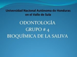 Universidad Nacional Autnoma de Honduras en el Valle