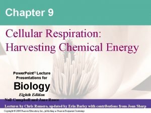 Energy flow in cellular respiration Energy flow in cellular respiration