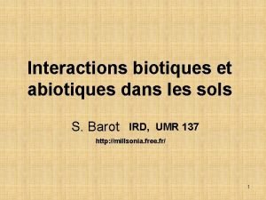 Interactions biotiques et abiotiques dans les sols S