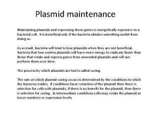 Plasmid maintenance Maintaining plasmids and expressing those genes