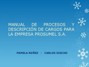 MANUAL DE PROCESOS Y DESCRIPCIN DE CARGOS PARA