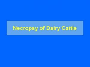 Necropsy of Dairy Cattle What is a necropsy