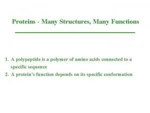 Proteins Many Structures Many Functions 1 A polypeptide