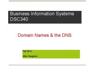 Business Information Systems DSC 340 Domain Names the