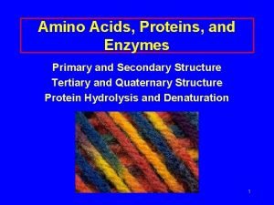 Amino Acids Proteins and Enzymes Primary and Secondary