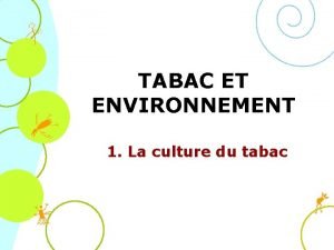 TABAC ET ENVIRONNEMENT 1 La culture du tabac