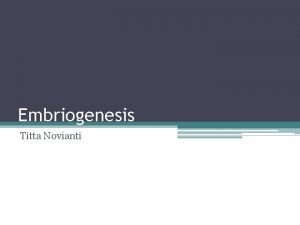 Embriogenesis Titta Novianti EMBRIOGENESIS Proses embriogenesis adalah rangkaian