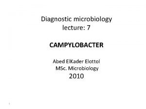 Diagnostic microbiology lecture 7 CAMPYLOBACTER Abed El Kader