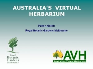 AUSTRALIAS VIRTUAL HERBARIUM Peter Neish Royal Botanic Gardens