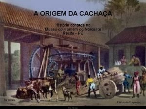 A ORIGEM DA CACHAA Histria contada no Museu