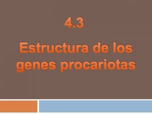 4 3 Estructura de los genes procariotas Transcripcin