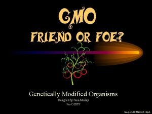 GMO Friend or Foe Genetically Modified Organisms Designed