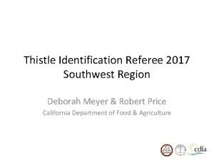 Thistle Identification Referee 2017 Southwest Region Deborah Meyer