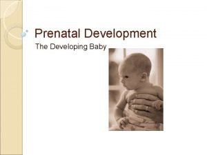 Prenatal Development The Developing Baby Conception The process