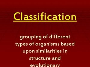 Classification grouping of different types of organisms based