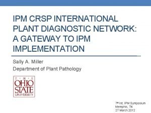 IPM CRSP INTERNATIONAL PLANT DIAGNOSTIC NETWORK A GATEWAY