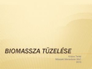 BIOMASSZA TZELSE Krizsa Terz Mszaki Menedszer Ms C