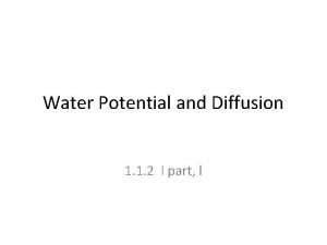 Water potential meaning