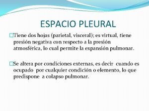 Sonda pleural