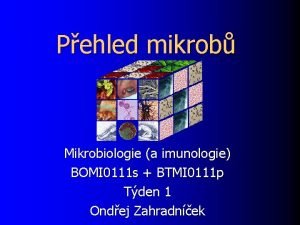 Pehled mikrob Mikrobiologie a imunologie BOMI 0111 s