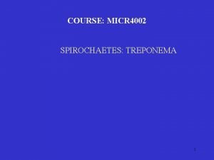 COURSE MICR 4002 SPIROCHAETES TREPONEMA 1 Introduction Spirochaetes