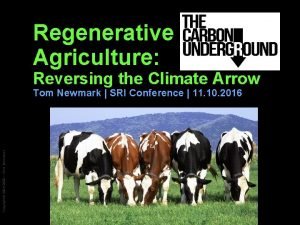 Regenerative Agriculture Reversing the Climate Arrow Copyright 2004