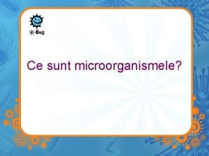 Ce sunt microorganismele