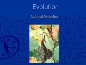 Lamarck theory