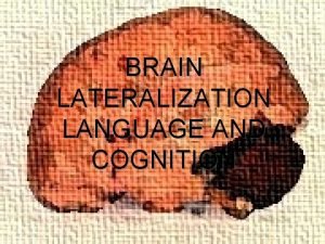 BRAIN LATERALIZATION LANGUAGE AND COGNITION CEREBRAL LATERALIZATION u