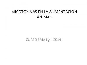 MICOTOXINAS EN LA ALIMENTACIN ANIMAL CURSO EMA I