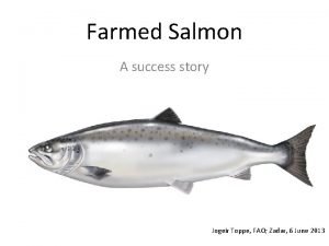 Farmed Salmon A success story Jogeir Toppe FAO