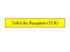 TollLike Receptors TLR TollLike Receptor Signaling Toll receptor