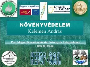 NVNYVDELEM Kelemen Andrs Pest Megyei Kormnyhivatal Nvny s