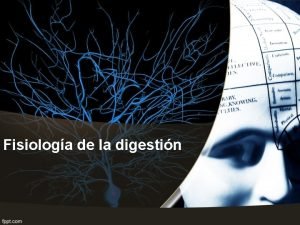 Fisiologa de la digestin FISIOLOGA GASTROINTESTINAL PRINCIPIOS GENERALES