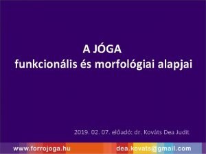 A JGA funkcionlis s morfolgiai alapjai 2019 02