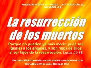 Resurrecciones en el nuevo testamento