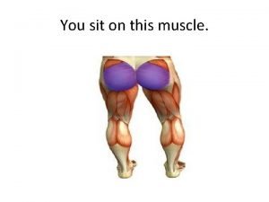 You sit on this muscle