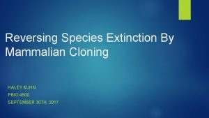 Reversing Species Extinction By Mammalian Cloning HALEY KUHN