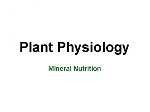 Plant Physiology Mineral Nutrition Mineral Nutrition in plants
