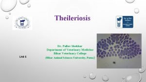 Theileriosis Dr Pallav Shekhar Department of Veterinary Medicine