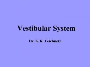 Vestibular System Dr G R Leichnetz What does