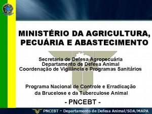 MINISTRIO DA AGRICULTURA PECURIA E ABASTECIMENTO Secretaria de