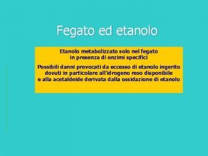 Fegato ed etanolo Etanolo metabolizzato solo nel fegato