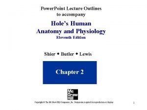 Power Point Lecture Outlines to accompany Holes Human
