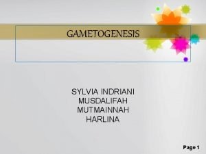 Spermatositogenesis adalah