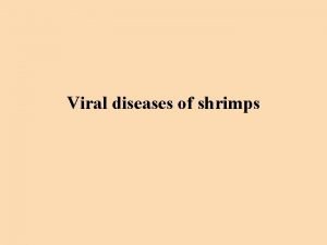 Viral diseases of shrimps Viral diseases of shrimps