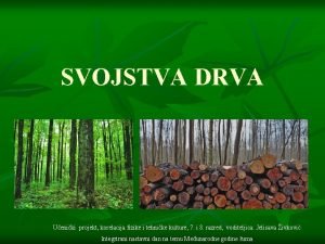 SVOJSTVA DRVA Ueniki projekt korelacija fizike i tehnike