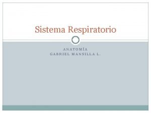 Esternon anatomia
