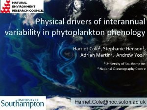 Physical drivers of interannual variability in phytoplankton phenology