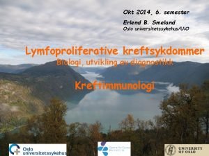 Okt 2014 6 semester Erlend B Smeland Oslo